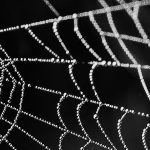 Proxies Entmystifiziert